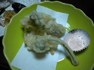 DSCN0081.JPG