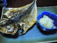DSCN0165.JPG