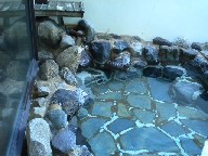 DSCN0294.JPG