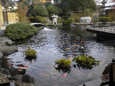 DSCN0577.JPG