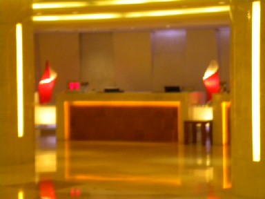 DSCN0816.JPG