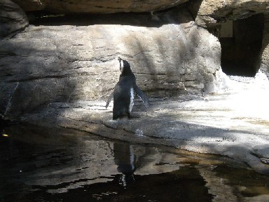 DSCN0916.JPG